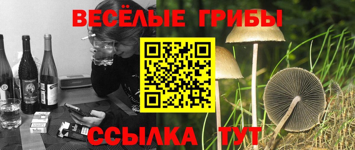 Аксай  Галлюциногенные грибы Magic Shrooms  Вход с VPN 