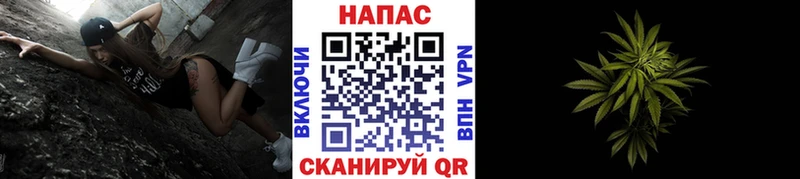 Конопля планчик  Аксай 